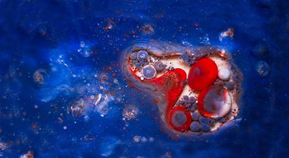 Colorful macro shot of an abstract oil and water art pattern with vibrant blue and red tones.