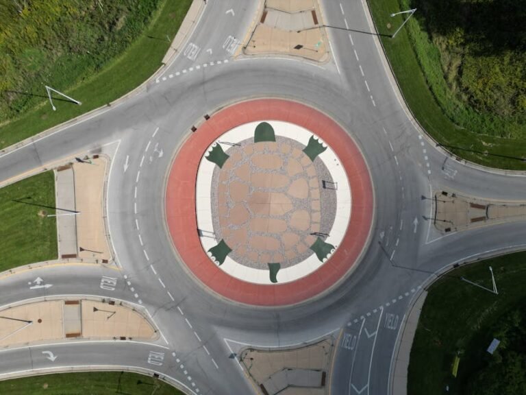 Aerial shot of a turtle design on a roundabout surrounded by roads and greenery.