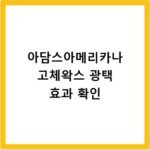 아담스아메리카나 고체왁스 광택 효과 확인