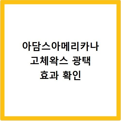 아담스아메리카나 고체왁스 광택 효과 확인
