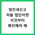 법인세신고 처음 법인이면 이것부터 확인해야 해