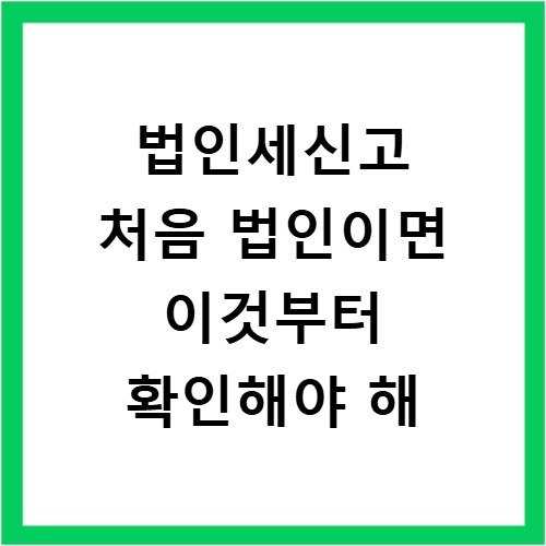 법인세신고 처음 법인이면 이것부터 확인해야 해