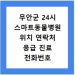 무안군 24시 스마트동물병원 위치 연락처 응급 진료 전화번호 안내