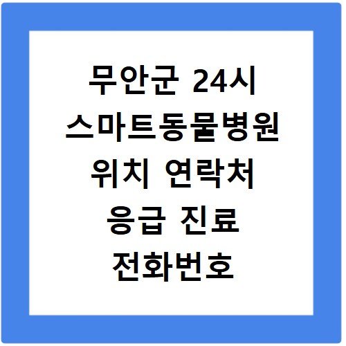 무안군 24시 스마트동물병원 위치 연락처 응급 진료 전화번호 안내